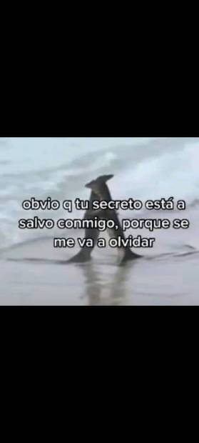 Imagen de El mejor canal de todos